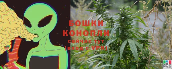 спайс Осинники