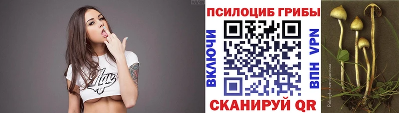 Псилоцибиновые грибы прущие грибы  купить закладку  Богучар 